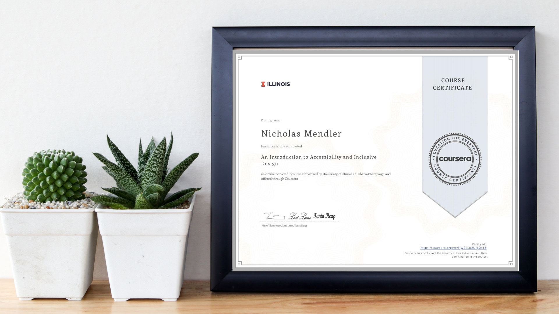 Learn how accessibility and inclusive design principles ensure your website can be used by everyone, including people with disabilities. These principles help create a more inclusive online experience that boosts your website's reach and effectiveness.